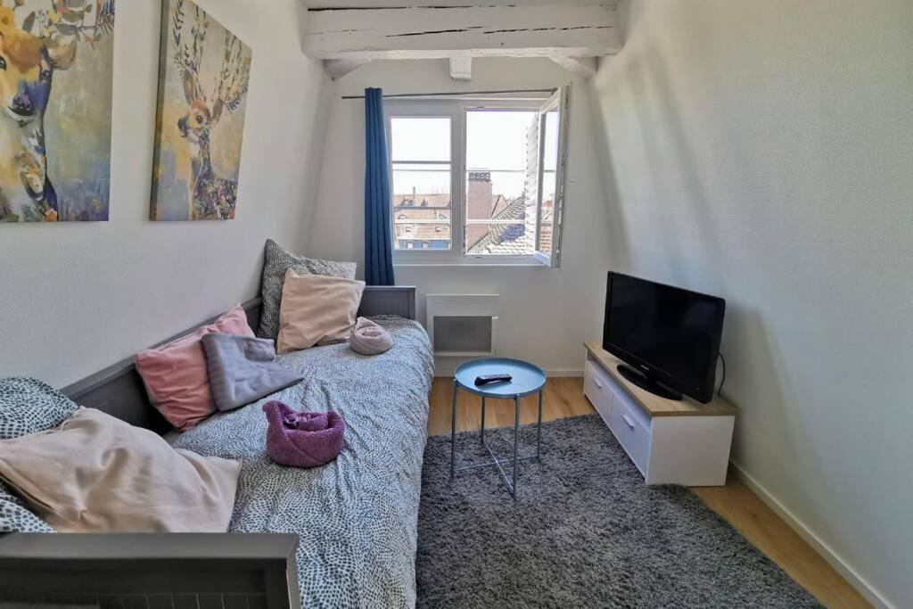 ** Appartement Cathedrale Strasbourg Centre** Екстер'єр фото